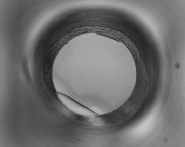 X0000116550239201001211208