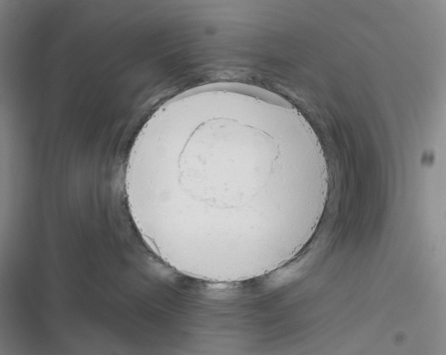 X0000116550240201001211208