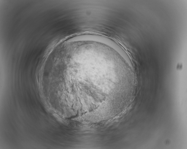 X0000116550241201001211207