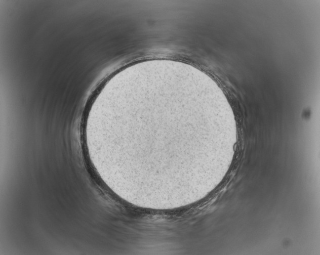 X0000116550244201001211207