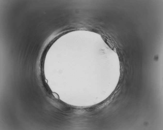 X0000116550246201001211208