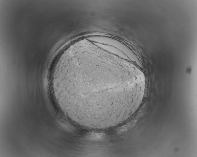 X0000116550247201001211208