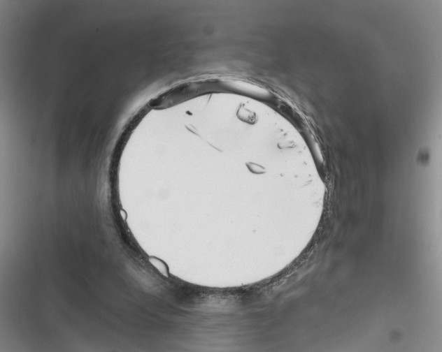 X0000116550248201001211208