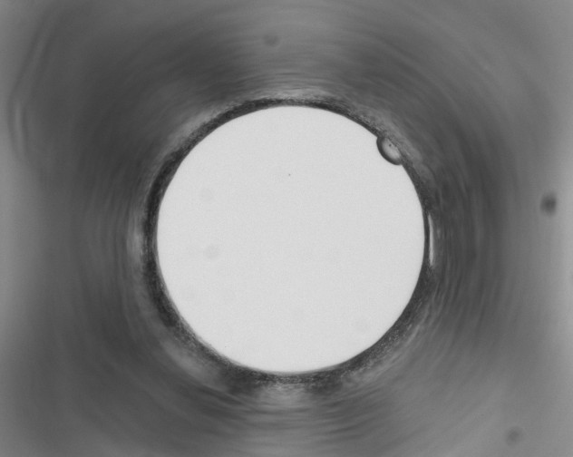 X0000116550252201001211208