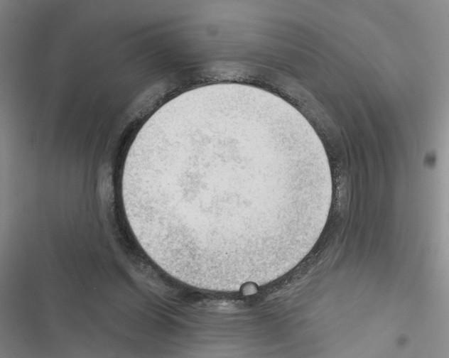 X0000116550254201001211208