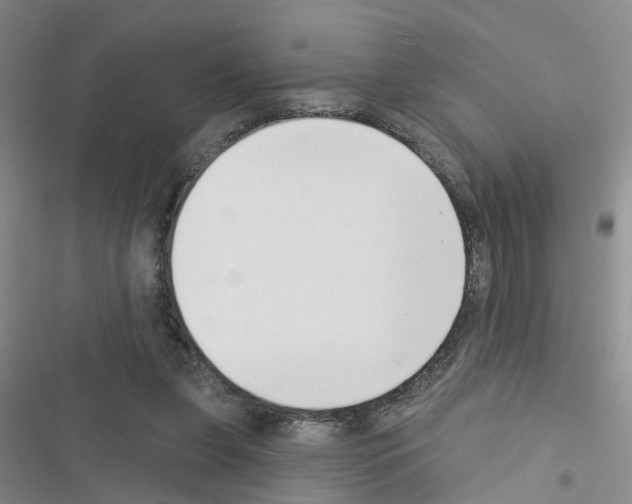 X0000116550255201001211208