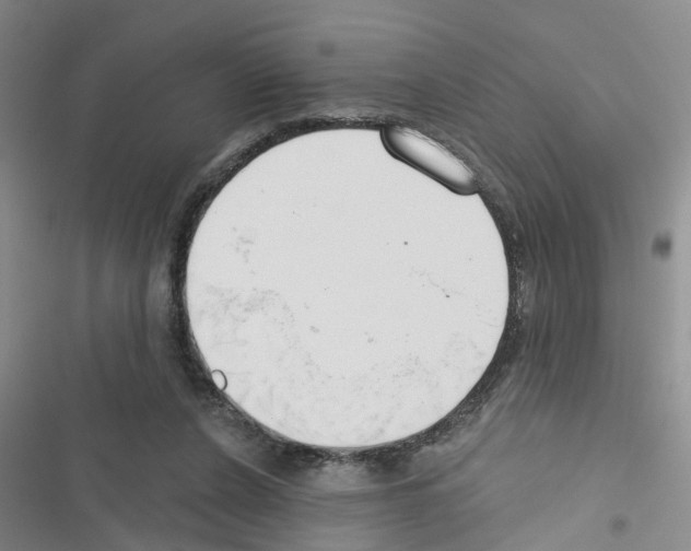 X0000116550256201001211208