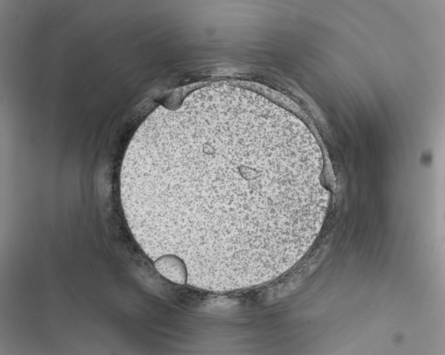 X0000116550257201001211208