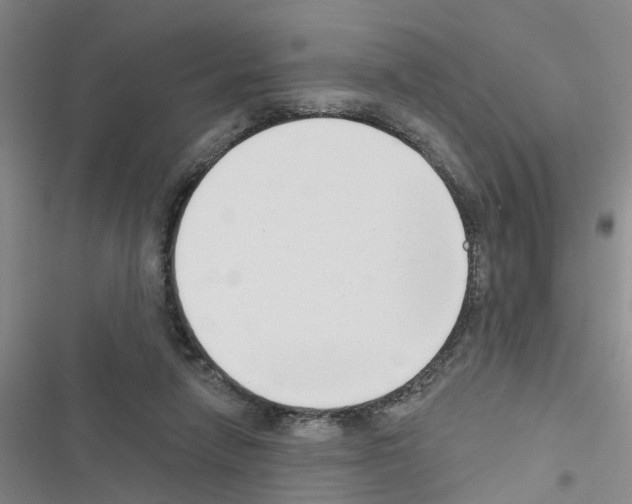 X0000116550258201001211208