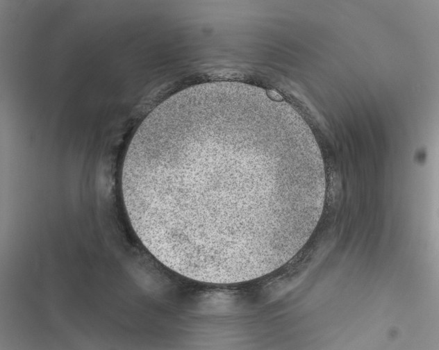 X0000116550259201001211208