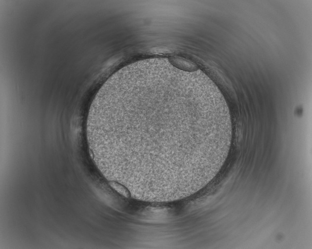 X0000116550260201001211208