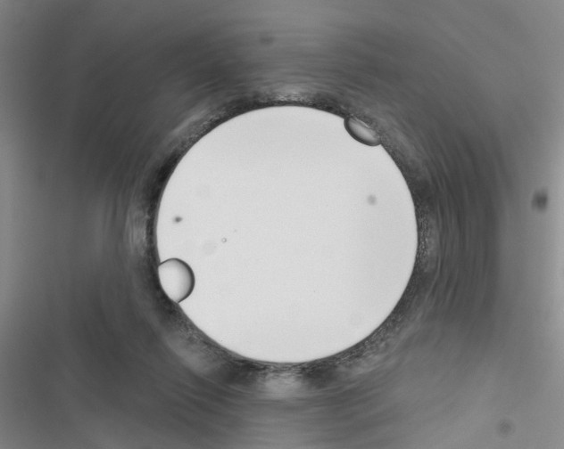 X0000116550262201001211208