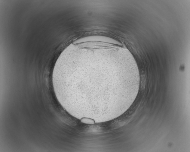 X0000116550263201001211208