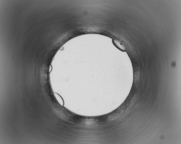 X0000116550264201001211208