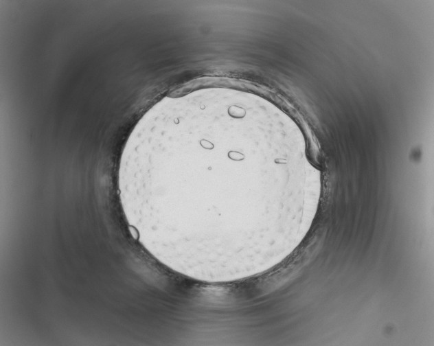 X0000116550265201001211208