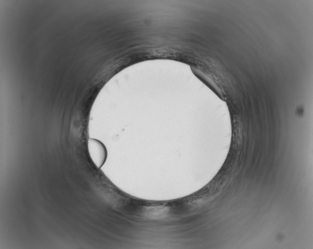 X0000116550266201001211208