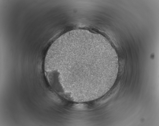 X0000116550269201001211208