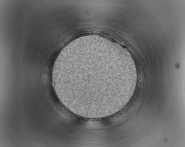 X0000116550270201001211208