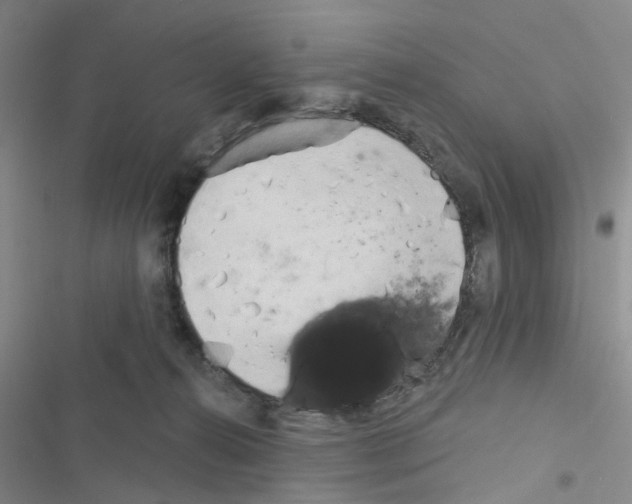 X0000116550272201001211208