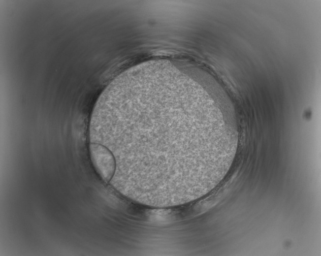 X0000116550273201001211208