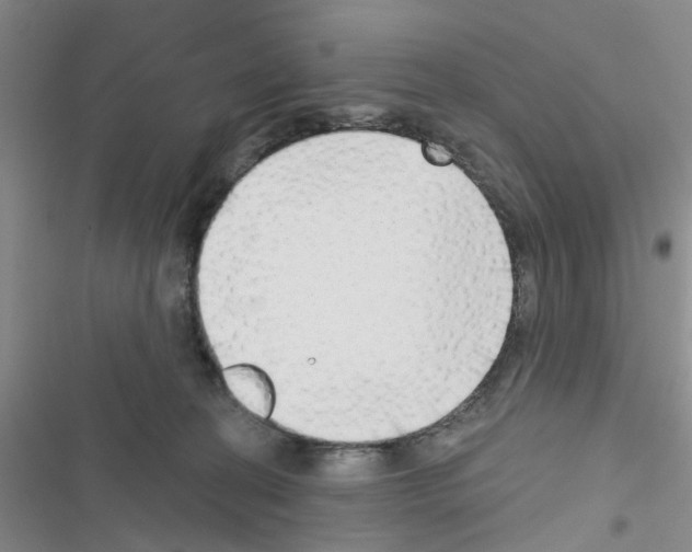 X0000116550274201001211208