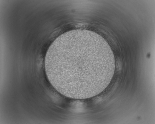 X0000116550276201001211208