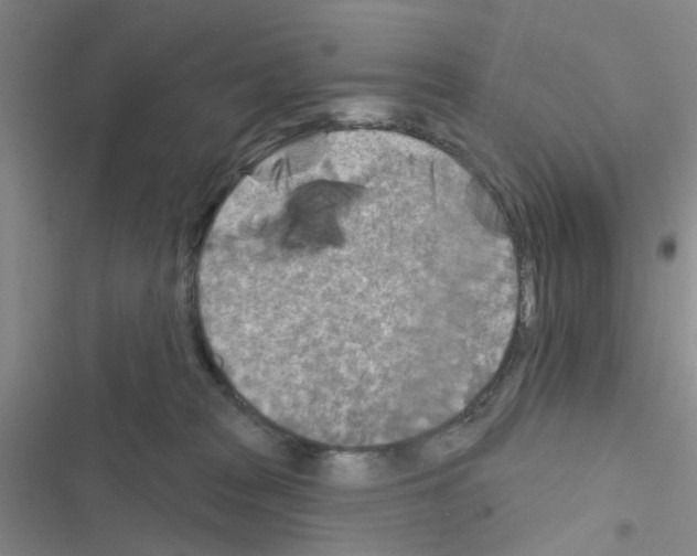 X0000116550277201001211208