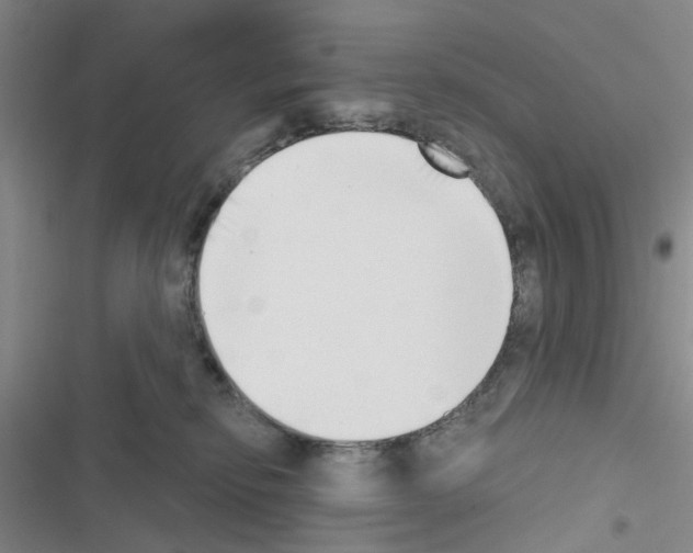 X0000116550278201001211208