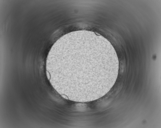 X0000116550279201001211208