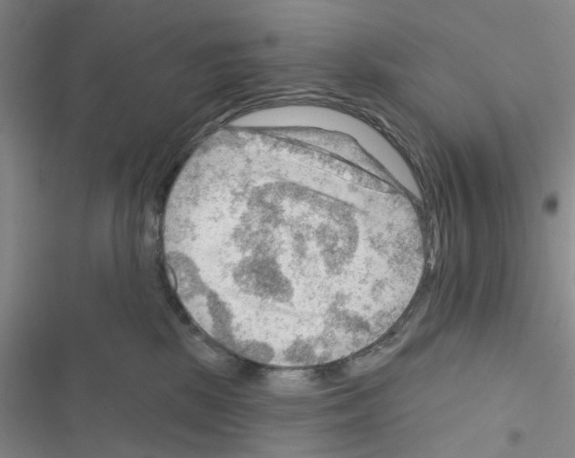 X0000116550281201001211208