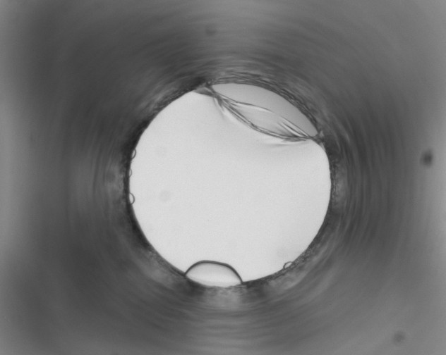 X0000116550282201001211208