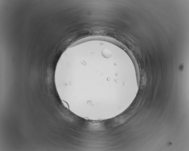 X0000116550283201001211208