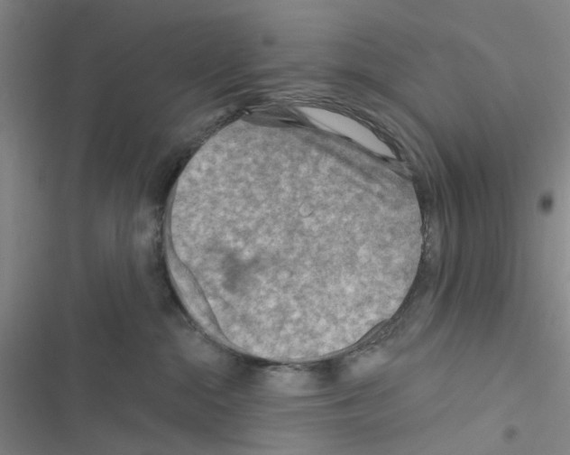 X0000116550284201001211208