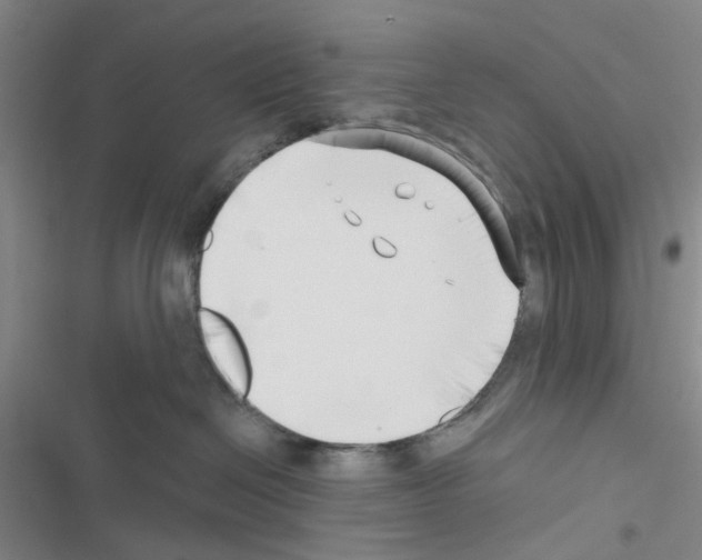 X0000116550286201001211208