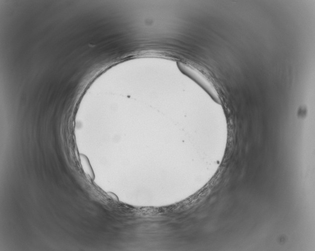 X0000116550289201001211207