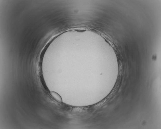 X0000116550290201001211207