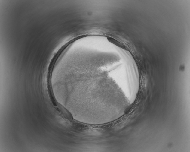 X0000116550292201001211207