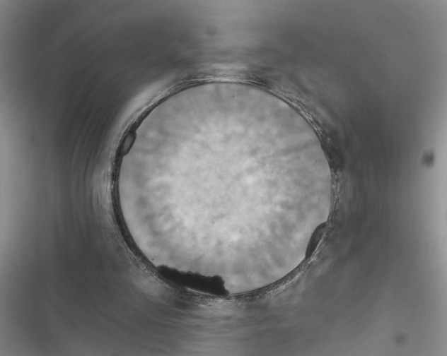 X0000116550293201001211207