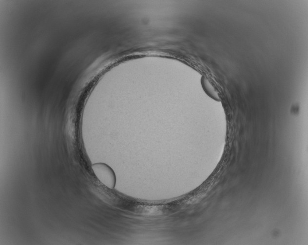 X0000116550295201001211207