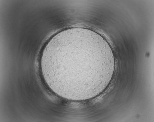 X0000116550298201001211207