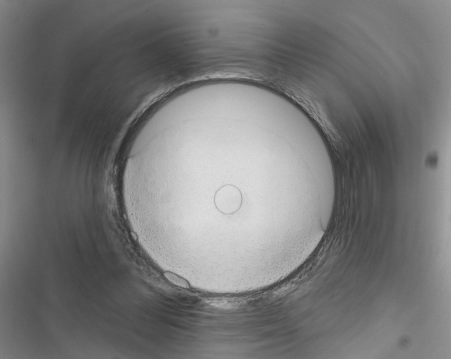 X0000116550300201001211207