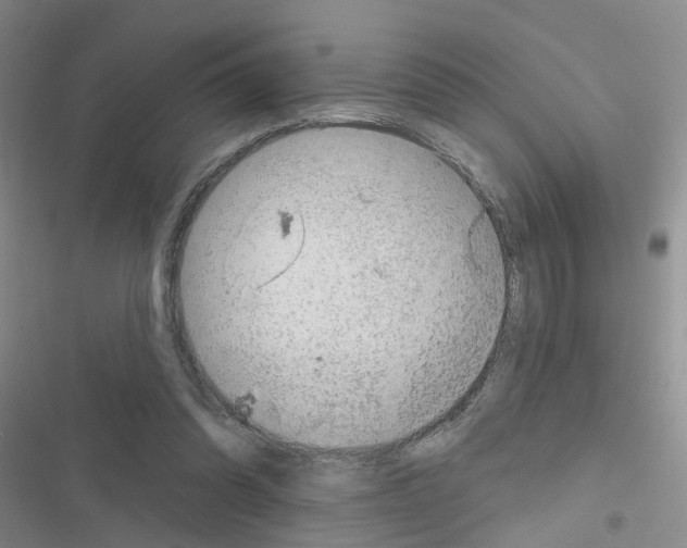 X0000116550302201001211207