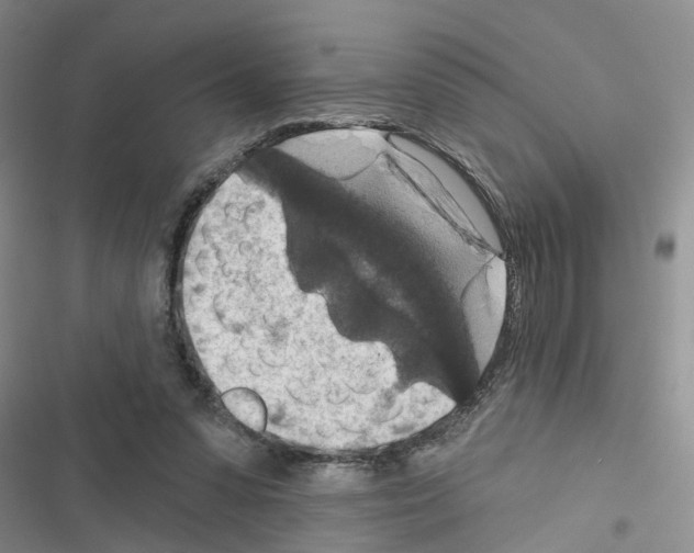 X0000116550303201001211207