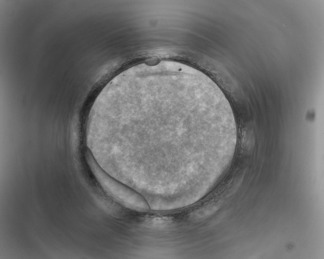 X0000116550304201001211207