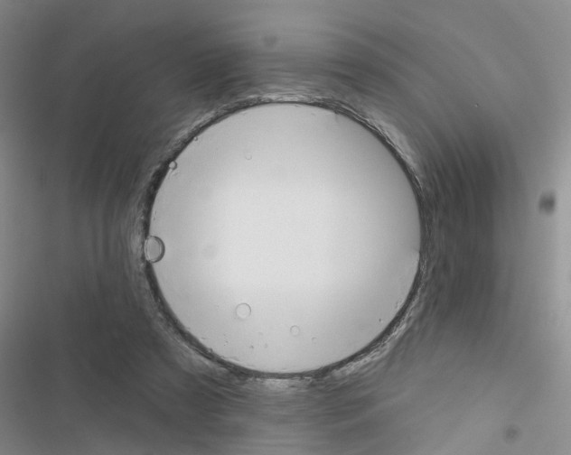 X0000116550305201001211207