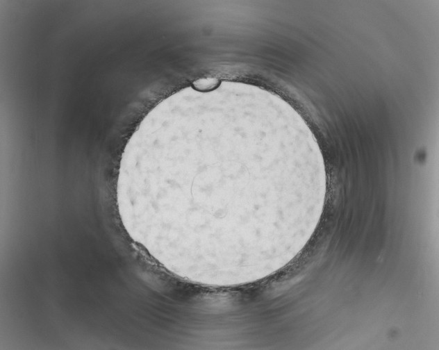 X0000116550307201001211207