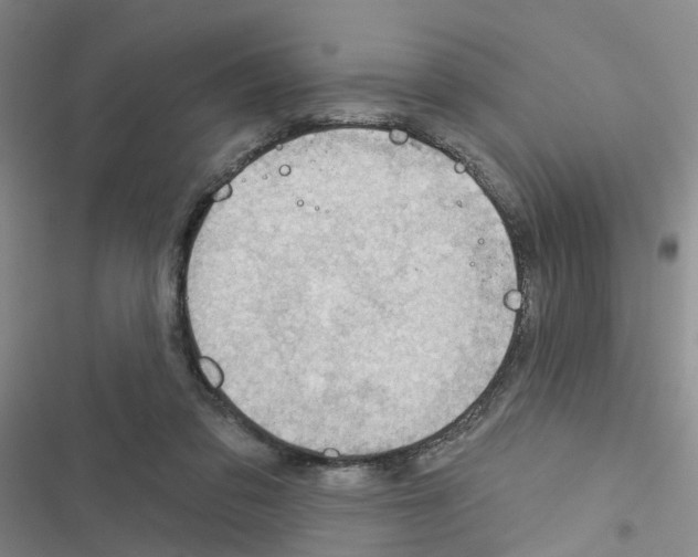 X0000116550309201001211207