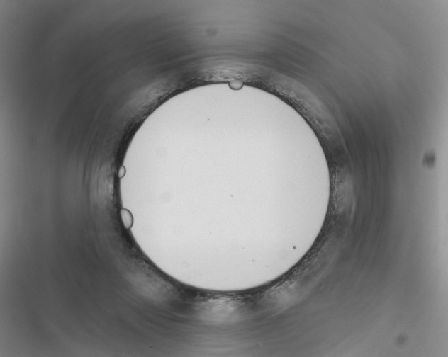 X0000116550310201001211207