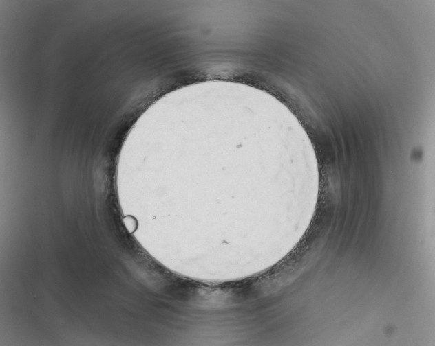 X0000116550311201001211207