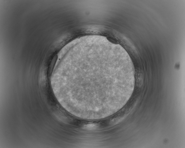 X0000116550312201001211207